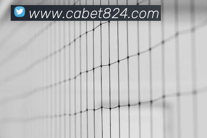 ca亚洲城APP 封面图